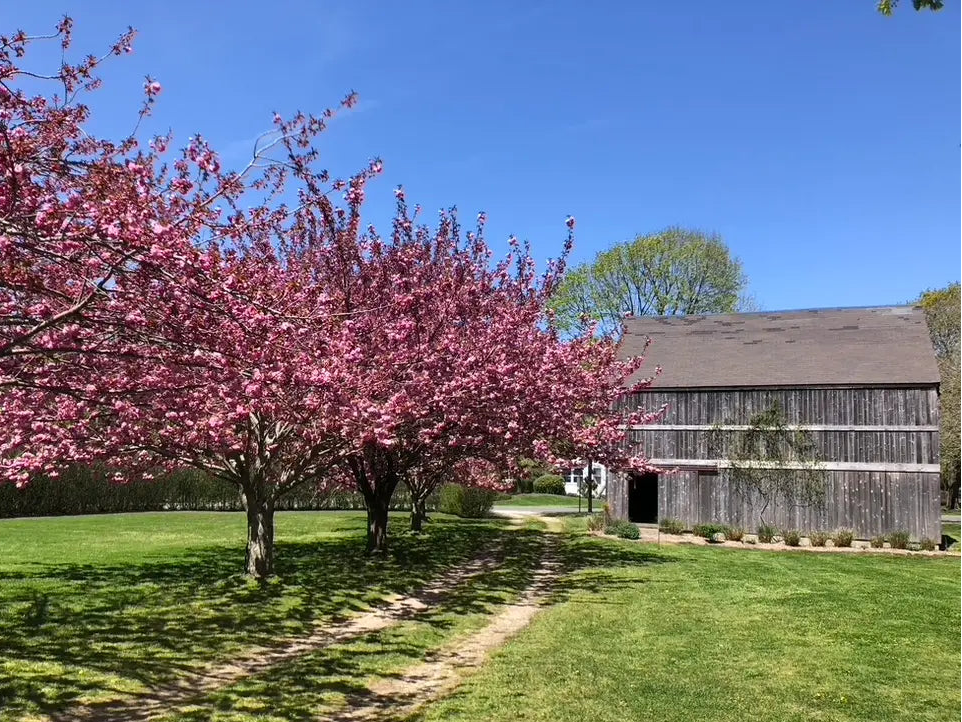 Hamptons Wine & Wheel