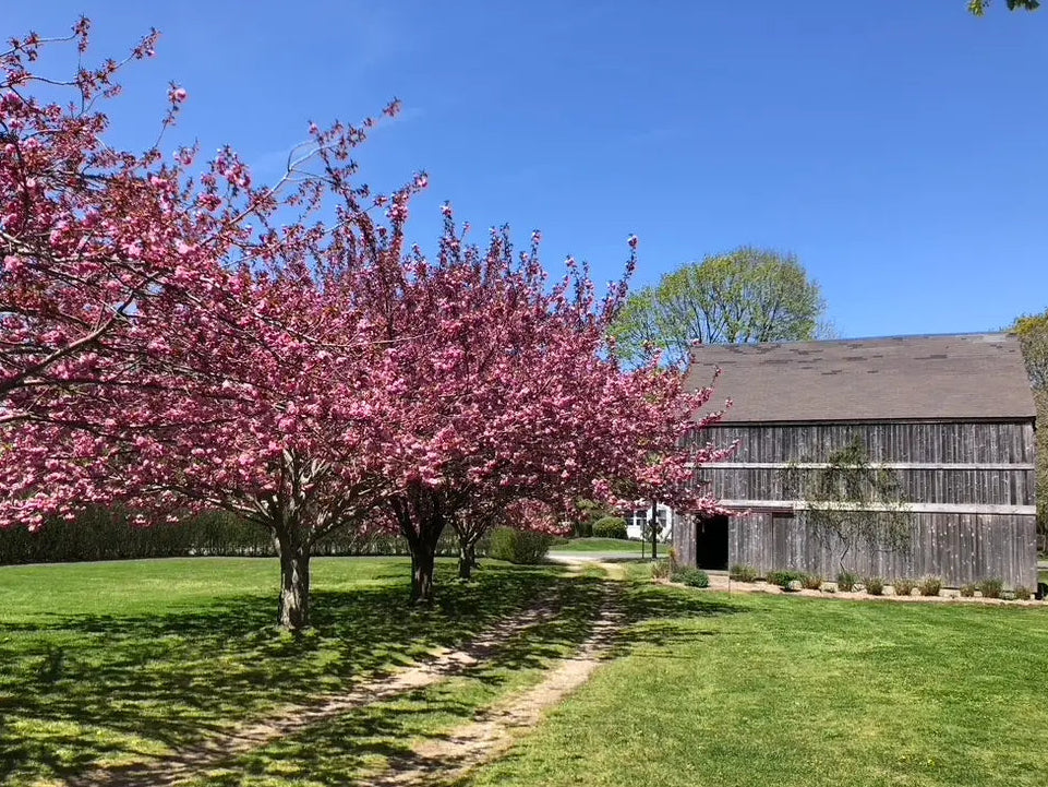 Hamptons Dirty Dancing