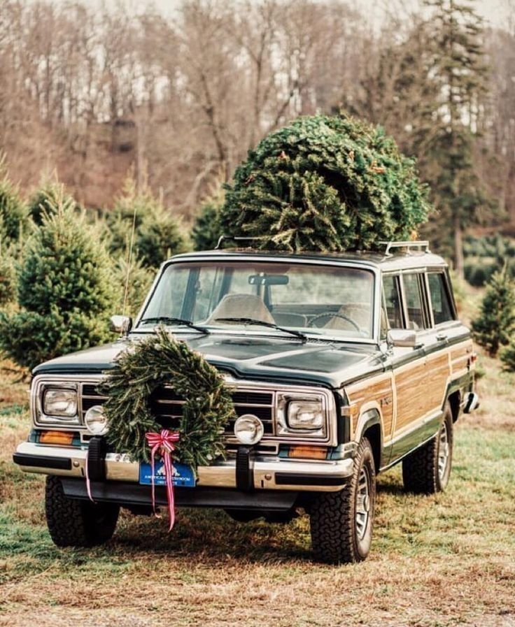 Hamptons Christmas Tree Farm
