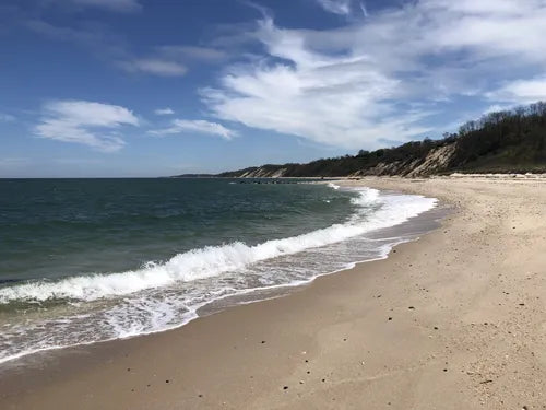 Hamptons North Fork Preserve