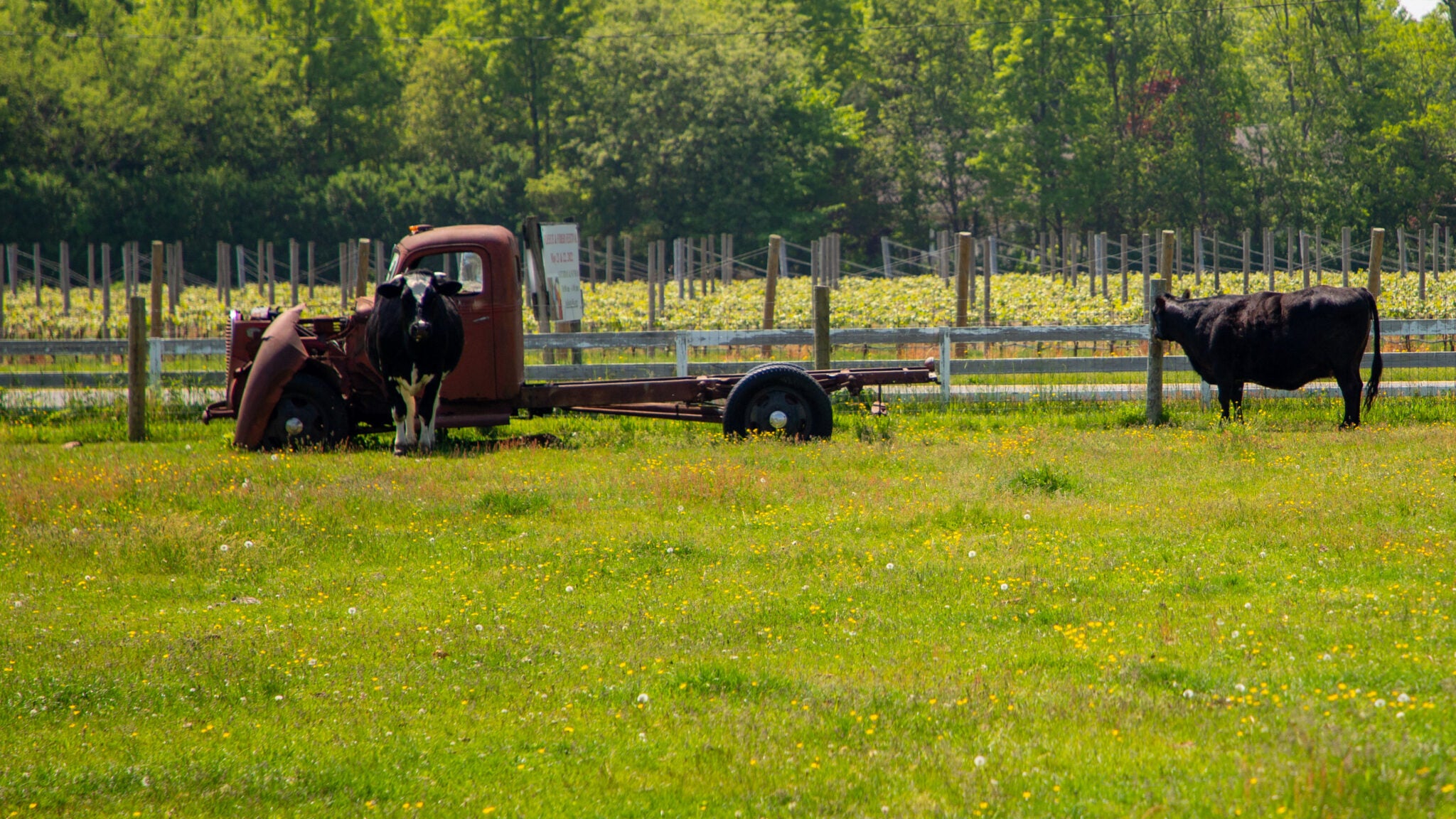 Hamptons North Fork Preserve